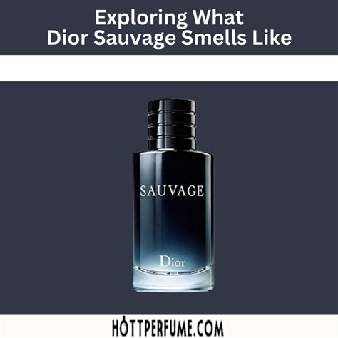 what smells like dior sauvage.